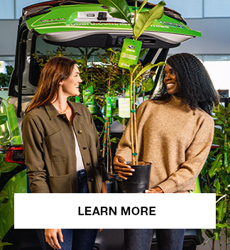 Learn More