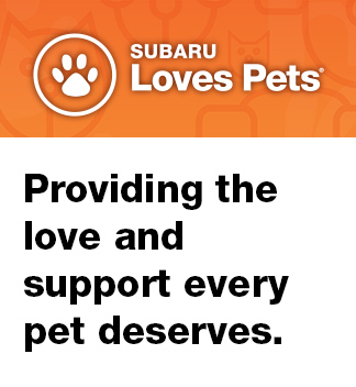 Providing the love and support every pet deserves.